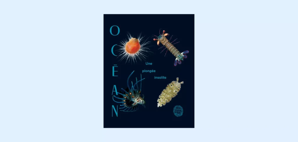 exposition sur l'océan